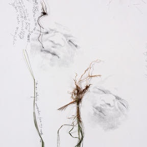 Iris Andraschek, Down with Paradigm! (Detail), 2019.
Iris Andraschek / Bildrecht Wien, 2019; Foto: L. Deinhardstein Iris Andraschek, Down with Paradigm! (Detail), 2019.
Iris Andraschek / Bildrecht Wien, 2019; Foto: L. Deinhardstein