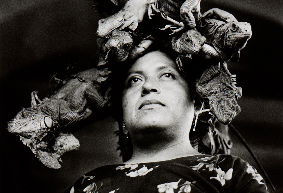 Graciela Iturbide, Nuestra Señora de las Iguanas (Our Lady of the Iguanas), Juchitán, Oaxaca (Detail), 1979. Dom Museum Wien, Otto Mauer Contemporary, Courtesy of the artist, Foto: L. Deinhardstein.
Graciela Iturbide, Nuestra Señora de las Iguanas (Our Lady of the Iguanas), Juchitán, Oaxaca (Detail), 1979. Dom Museum Wien, Otto Mauer Contemporary, Courtesy of the artist, Foto: L. Deinhardstein. <br />