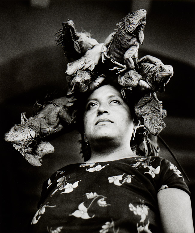 Graciela Iturbide, Nuestra Señora de las Iguanas (Our Lady of the Iguanas), Juchitán, Oaxaca, 1979. Dom Museum Wien, Otto Mauer Contemporary, Courtesy of the artist, Foto: L. Deinhardstein. Graciela Iturbide, Nuestra Señora de las Iguanas (Our Lady of the Iguanas), Juchitán, Oaxaca, 1979. Dom Museum Wien, Otto Mauer Contemporary, Courtesy of the artist, Foto: L. Deinhardstein.
