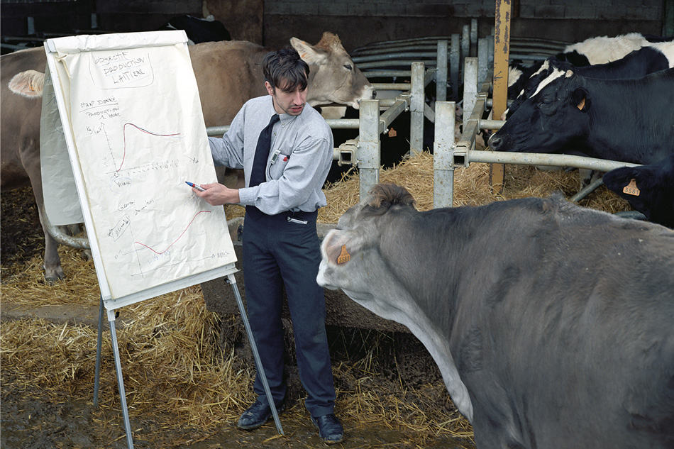 Thierry Boutonnier, Comment expliquer les objectifs de la production laitière aux vaches, 2005. Dom Museum Wien, Otto Mauer Contemporary, Thierry Boutonnier, Comment expliquer les objectifs de la production laitière aux vaches, 2005 © Bildrecht, Wien 2026, Foto: Alexis Vallé-Charest. Thierry Boutonnier, Comment expliquer les objectifs de la production laitière aux vaches, 2005. Dom Museum Wien, Otto Mauer Contemporary, Thierry Boutonnier, Comment expliquer les objectifs de la production laitière aux vaches, 2005 © Bildrecht, Wien 2026, Foto: Alexis Vallé-Charest.